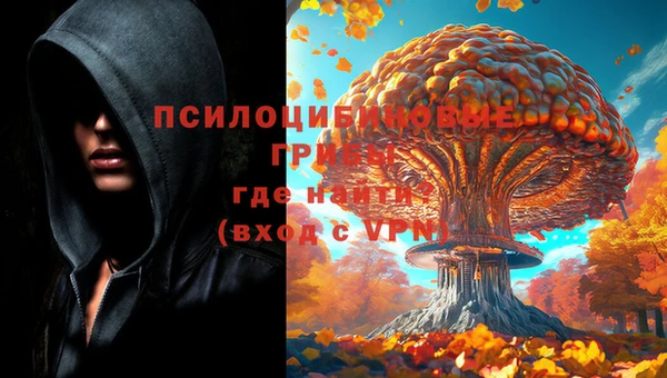 эйфоретик Верея