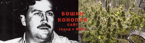 прущие крисы Верхний Тагил