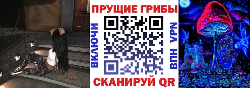 Галлюциногенные грибы прущие грибы  Севастополь 